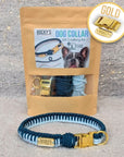 Make Your Own Dog Collar Craft Kit - BLUE