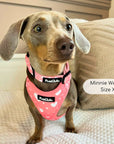 Adjustable Harness - Peachy Hearts