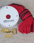 Heart Pattern Red Valentine's Day Make Your Own Dog Lead Craft Kit
