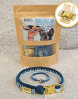 Make Your Own Dog Collar & Friendship Bracelet Craft Kit - BLUE