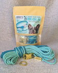 Make Your Own Dog Collar Craft Kit - MINT