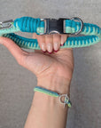 Make Your Own Dog Collar & Friendship Bracelet Craft Kit - MINT