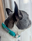 Make Your Own Dog Collar & Friendship Bracelet Craft Kit - MINT
