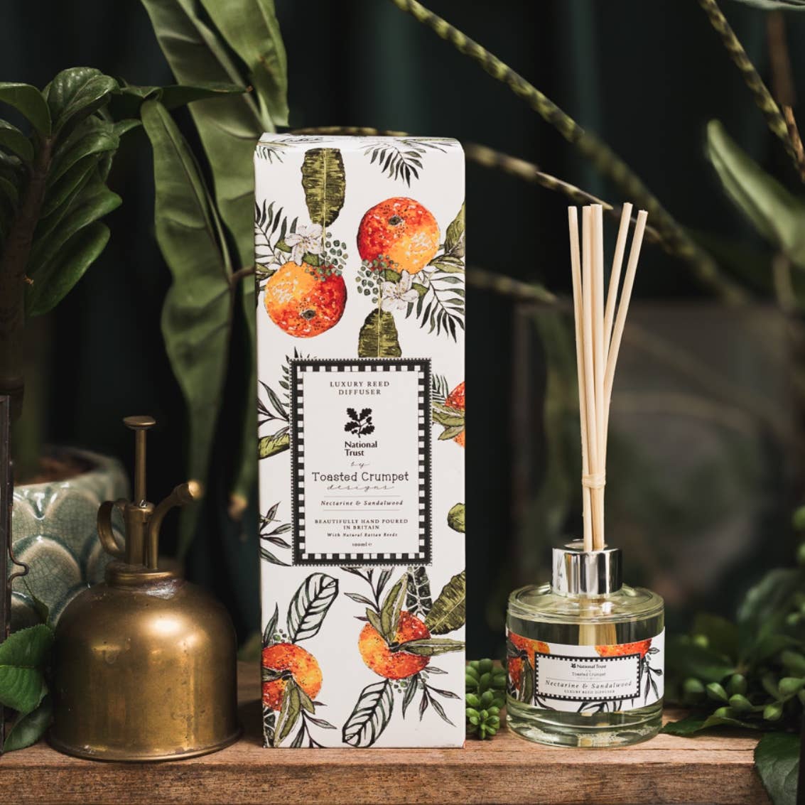 Nectarine &amp; Sandalwood Diffuser
