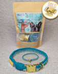 Make Your Own Dog Collar & Friendship Bracelet Craft Kit - MINT