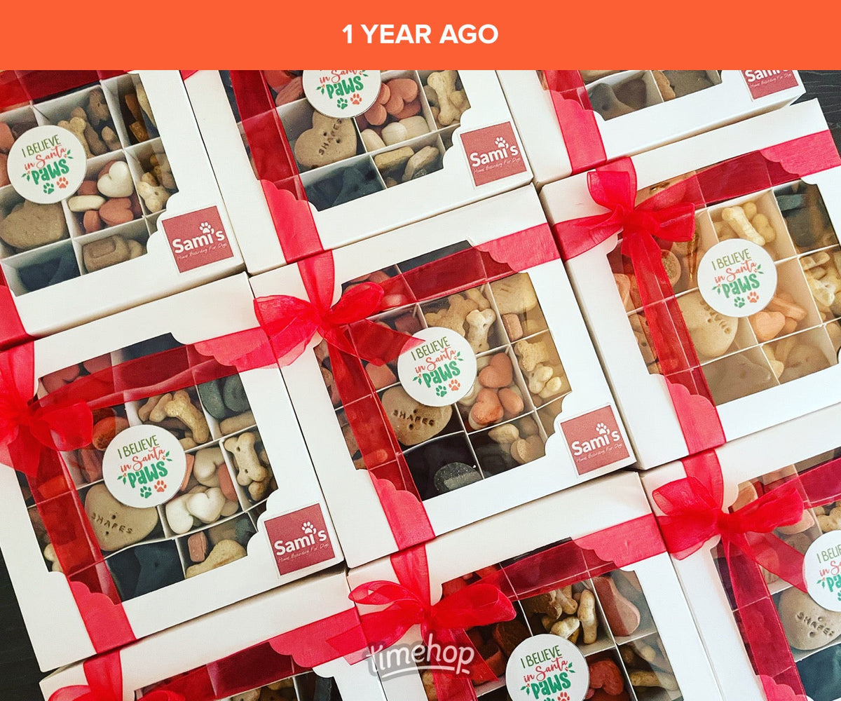 I Believe in Santa Paws Dog Biscuit Treat Box