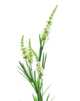 Pack of 6 x Artificial Flowers White Larkspur Artifical Stem 80cm-3
