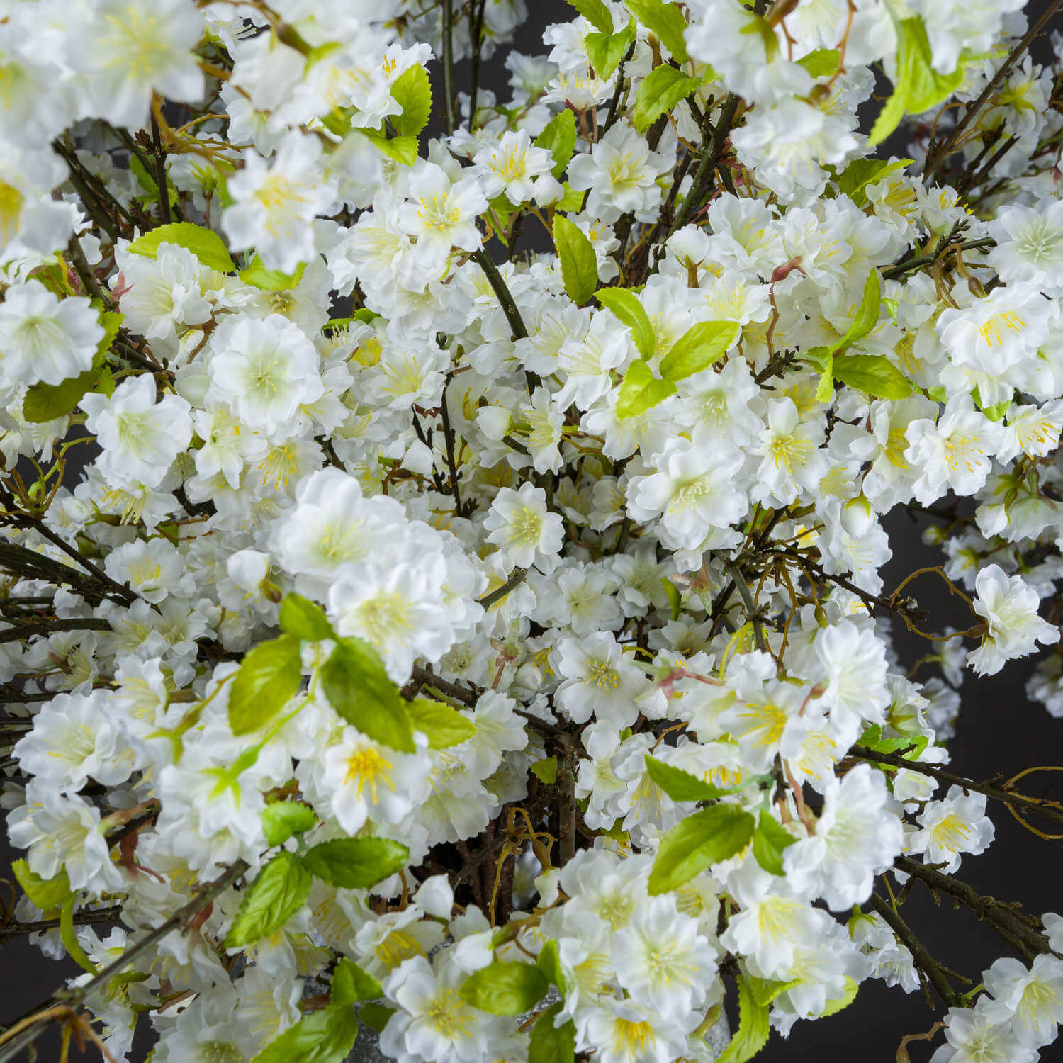Soothing White Cherry Blossom Mist | Floral Fragrance