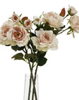 Soft Blush Tea Rose