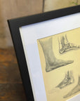 Victorian Anatomy Engraving – Antique Medical Print M