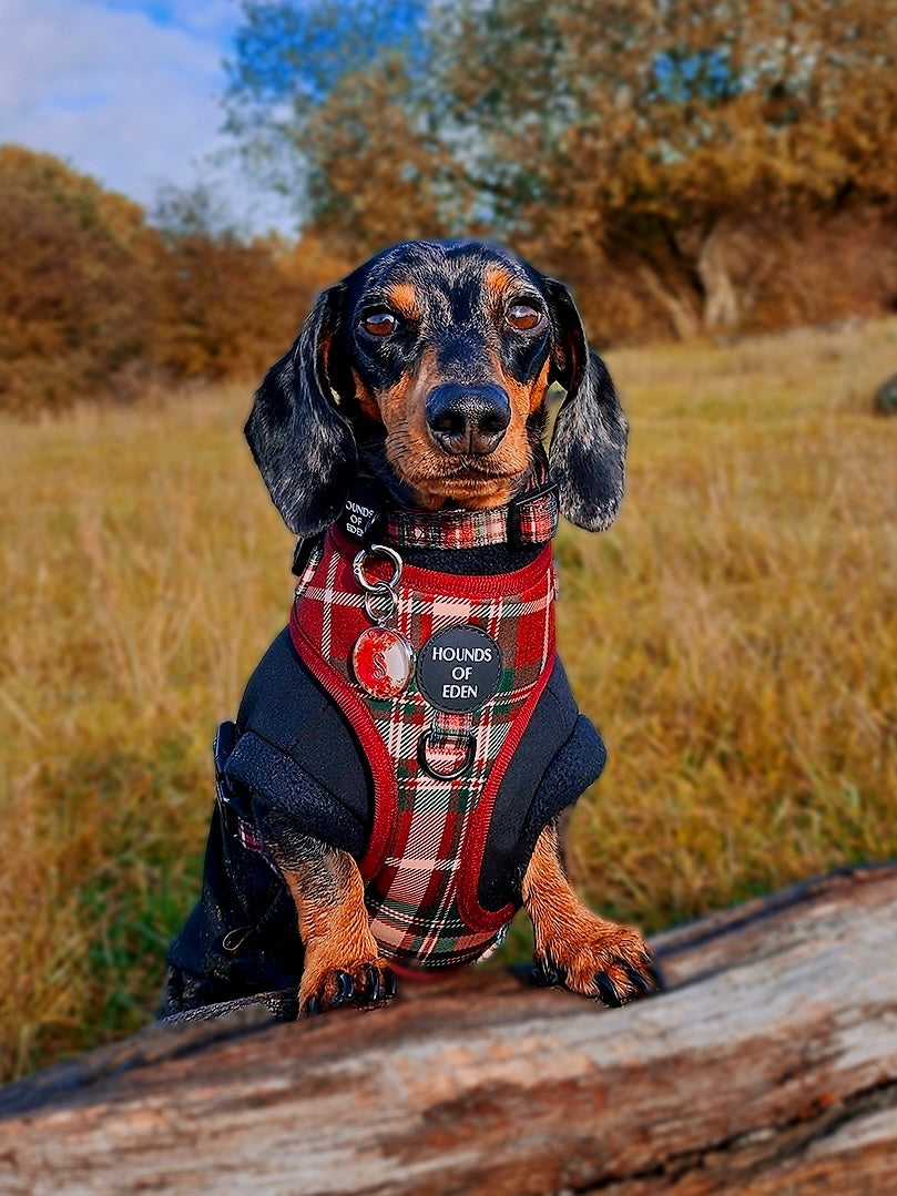 Tartan Me Up - Red &amp; Cream Tartan Dog Snood
