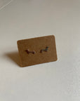 Dachshund Letterbox Gift