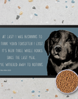 Starving Since Breakfast Pet Bowl Mat – Featuring the Black Labrador