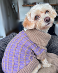 Purple Dog Jumper in Pure Merino Lambswool