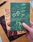 The Living Code: Anatomy, Neuroscience, Evolution & Genetics