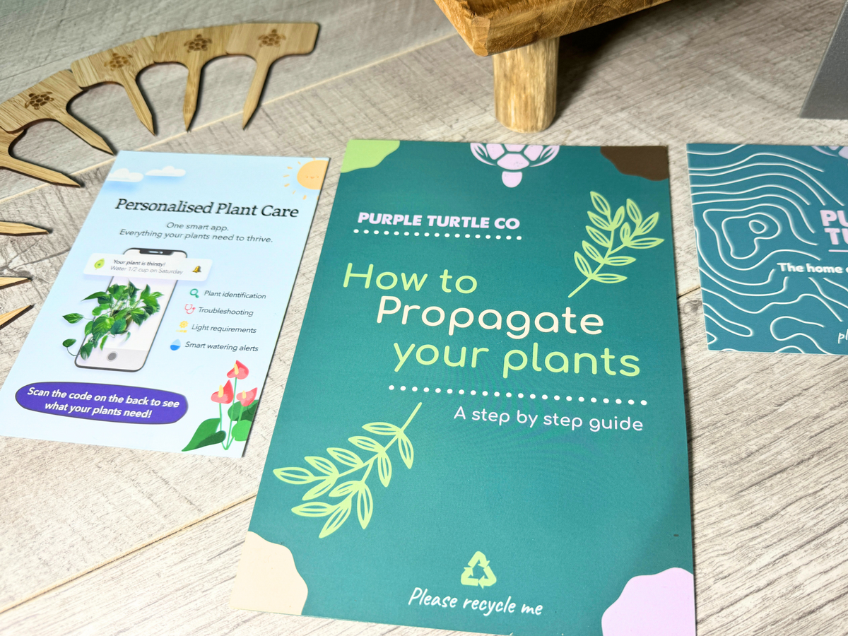 Plant Propagation Gift Set 