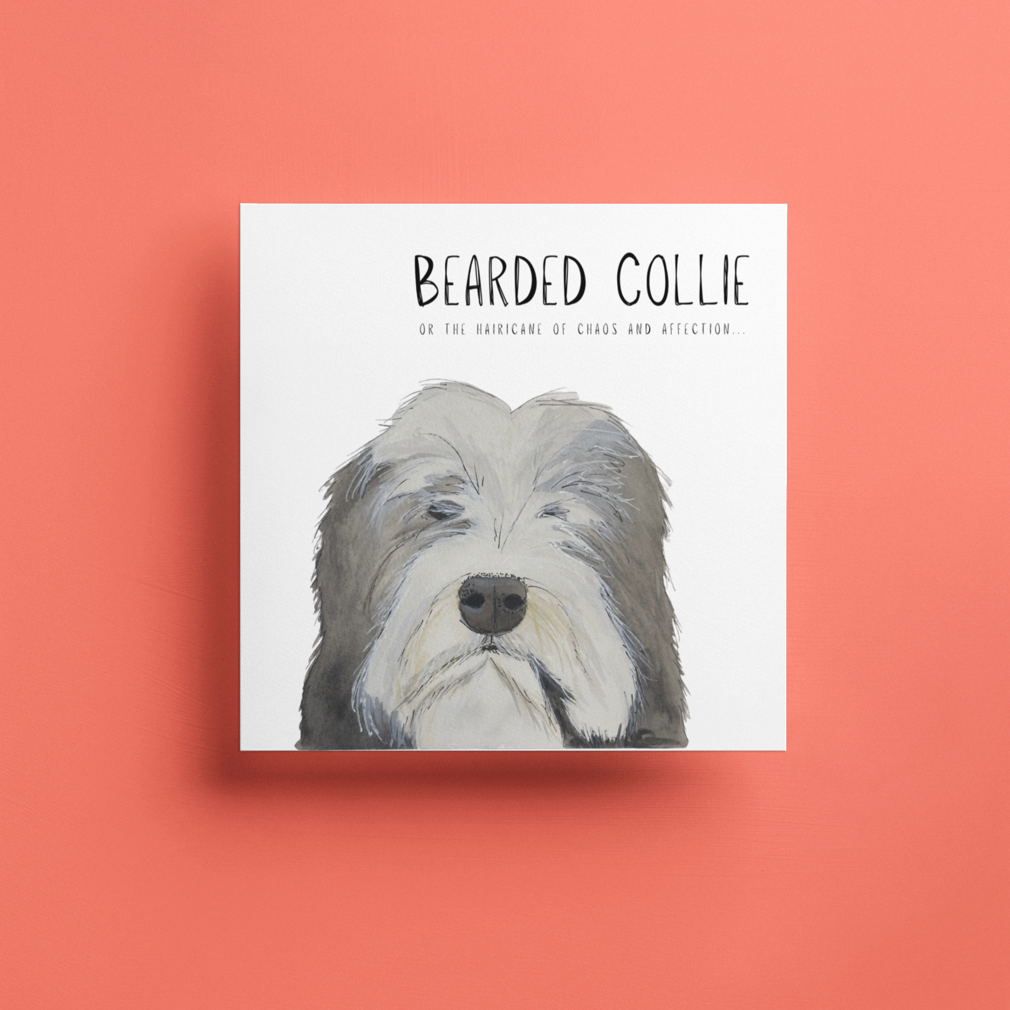 Hairy Wishes &amp; Tailspins: Bearded Collie Greeting Card