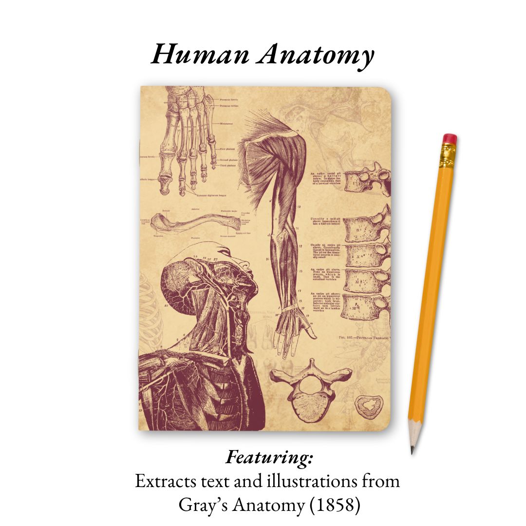 The Living Code: Anatomy, Neuroscience, Evolution &amp; Genetics