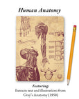 The Living Code: Anatomy, Neuroscience, Evolution & Genetics
