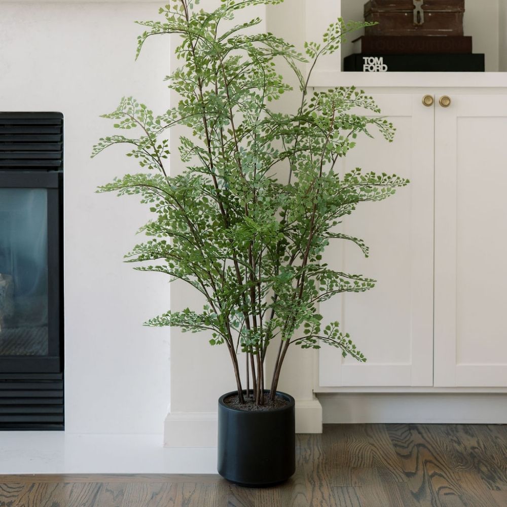 Faux Maidenhair Fern Plant, 48"