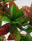 Artificial Tree 130cm-4