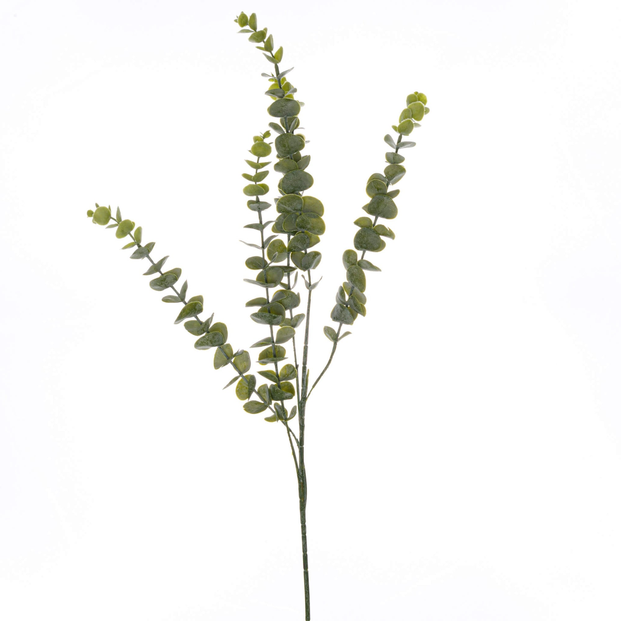 Refreshing Gunnii Eucalyptus Mist | Revitalizing Aroma