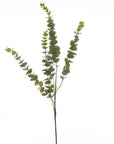 Refreshing Gunnii Eucalyptus Mist | Revitalizing Aroma