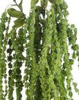 Fresh Green Amaranthus | Vibrant & Natural Decor