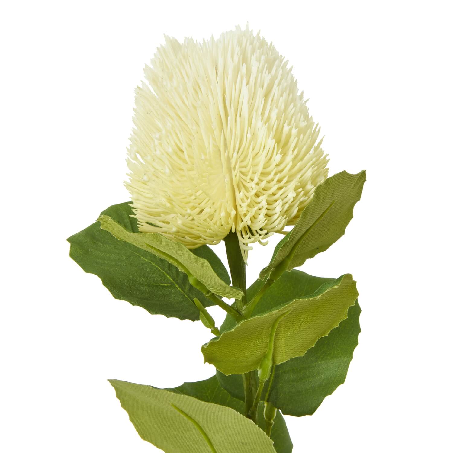 Cream Banksia Artificial Flower Stem