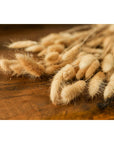 Fluffy Bunny Tail Bouquet Tall Natural Decor
