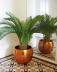 Palm Tree Artificial Cycas 80cm-2