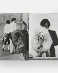 DogsDogs by Elliott Erwitt