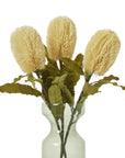 Cream Faux Banksia Serrata Stem