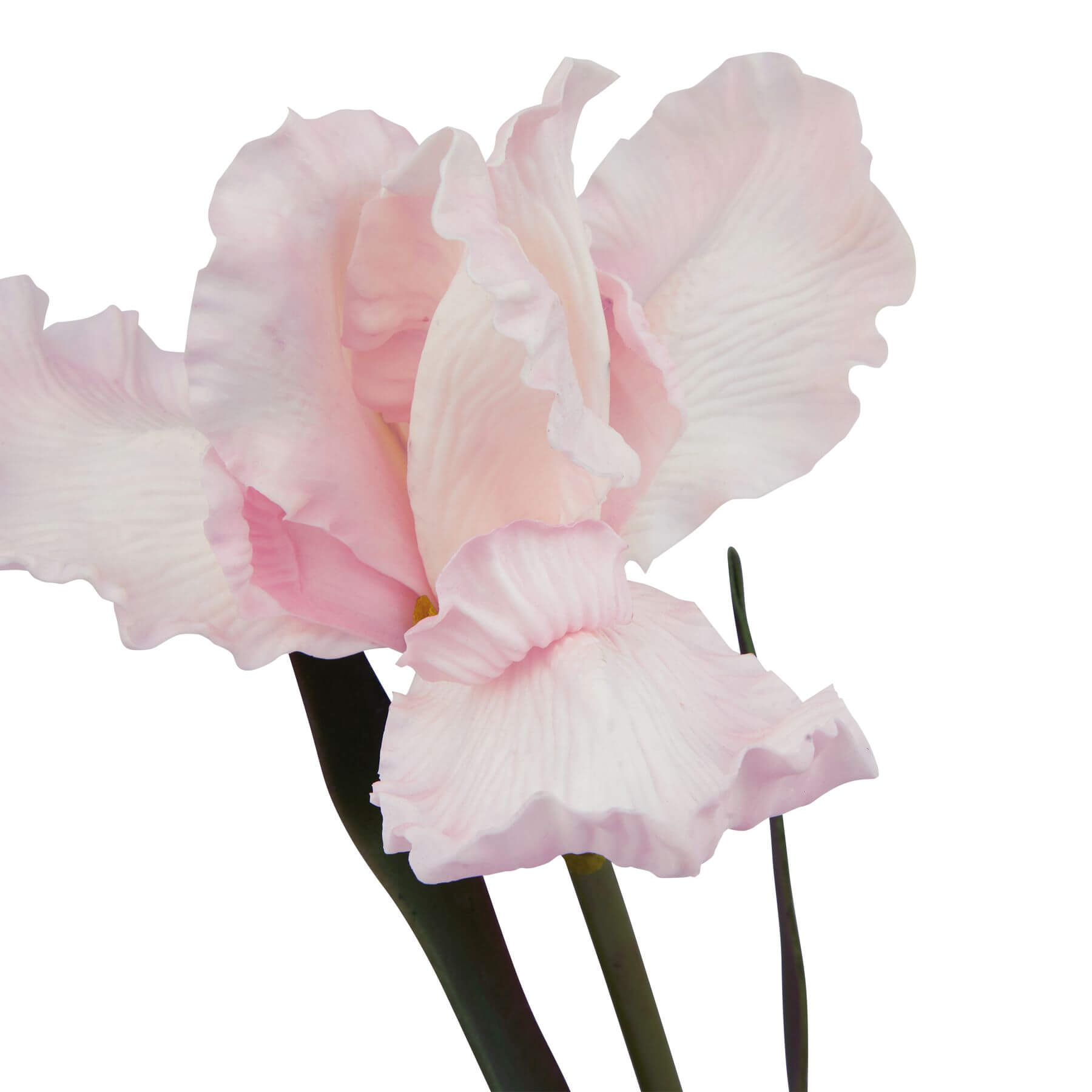 Pale Pink Fringed Iris Stem Artificial Flower