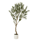 200cm Olive Tree in White Pot Mediterranean Style Indoor Plant