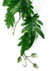 Artificial Hanging Plant Philodendron Leaf Plant-2