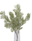 Silver Wattle Leaf Stem for a Calm Natural Look