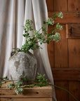 Faux White Cow Parsley Stem With Green Detail