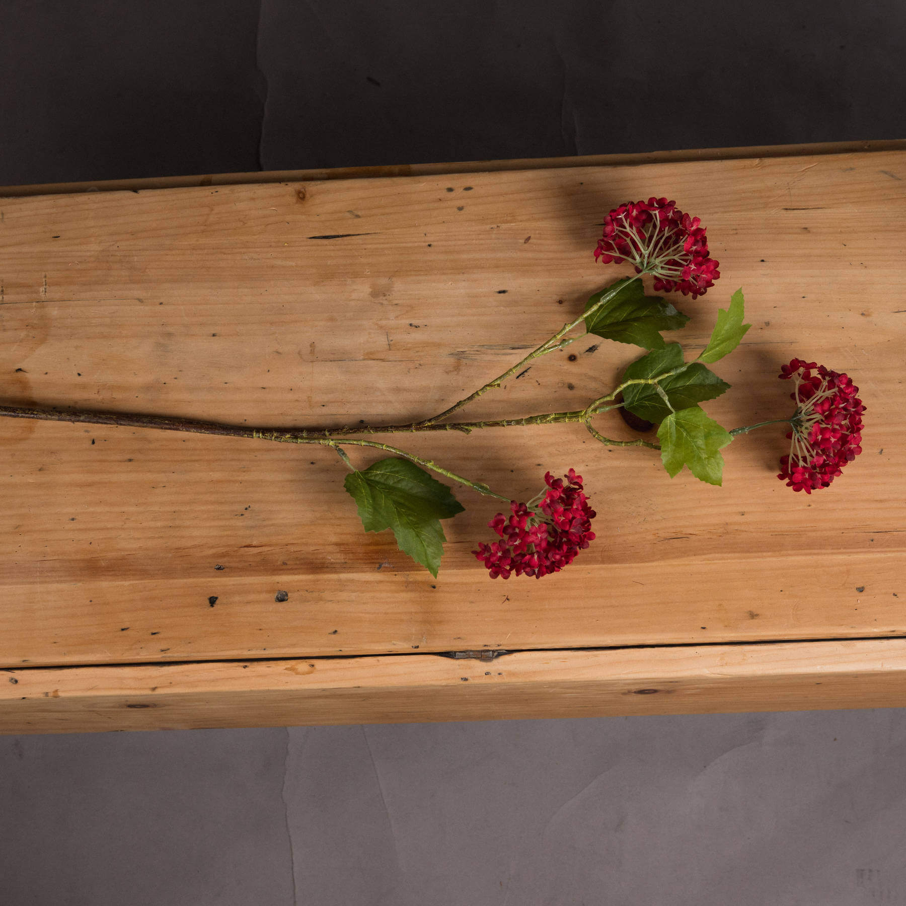 Vibrant Red Viburnum | Stunning Autumn Blooms