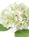 Lifelike artificial hydrangea stem in soft green, 50cm tall, with realistic plastic petals for elegant home decor by RoomLondon at brixbailey.com