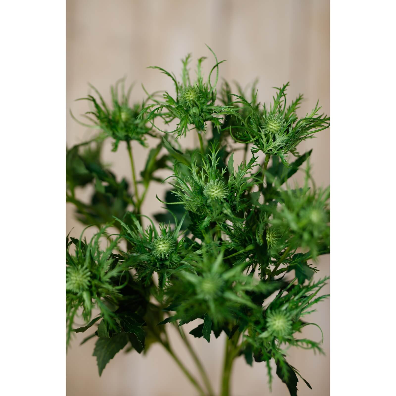 Green Sea Holly Artificial Stem Coastal Bloom
