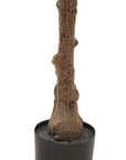 Tall Mediterranean Olive Tree Faux Plant