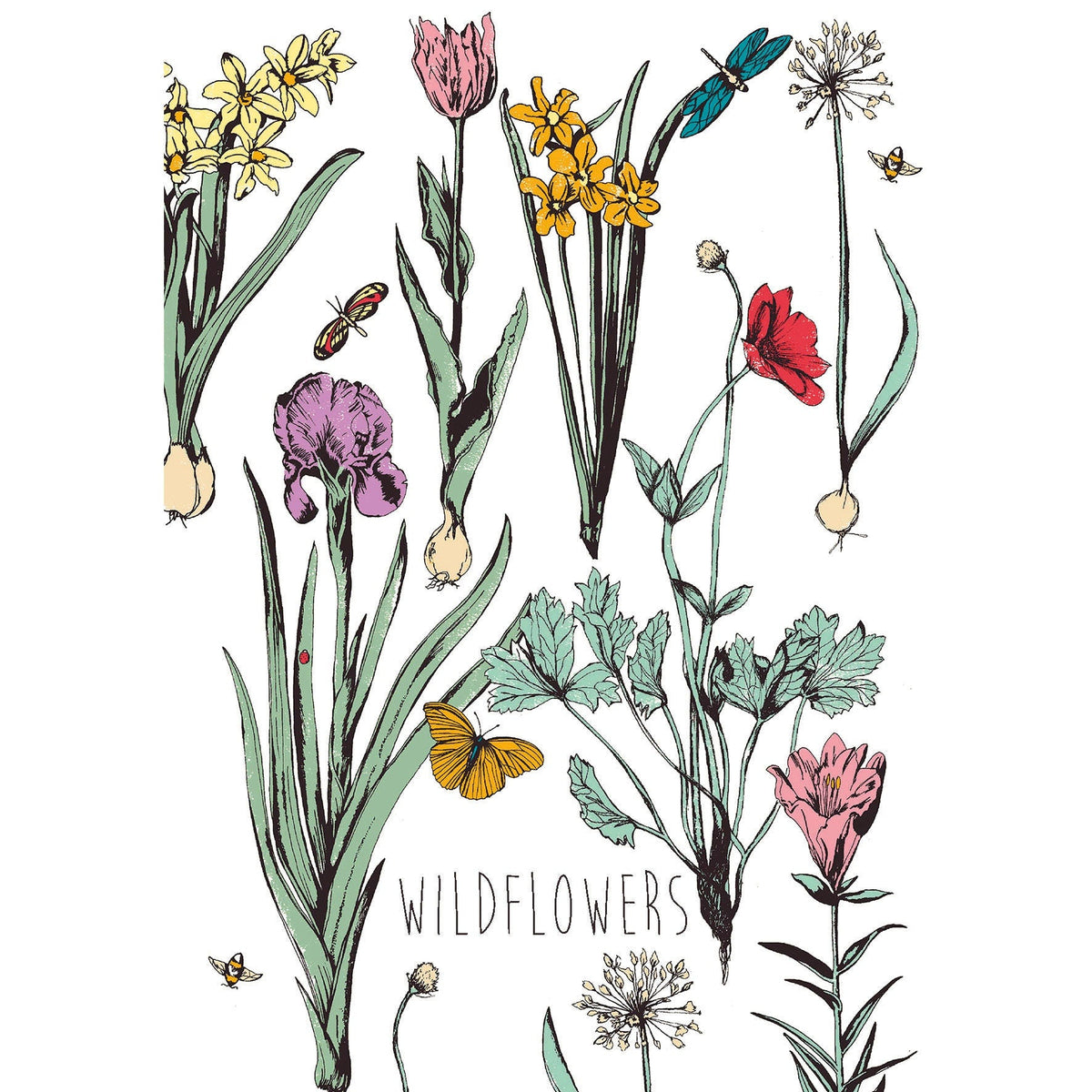 Hand-Drawn Pressed Flowers Greeting Card