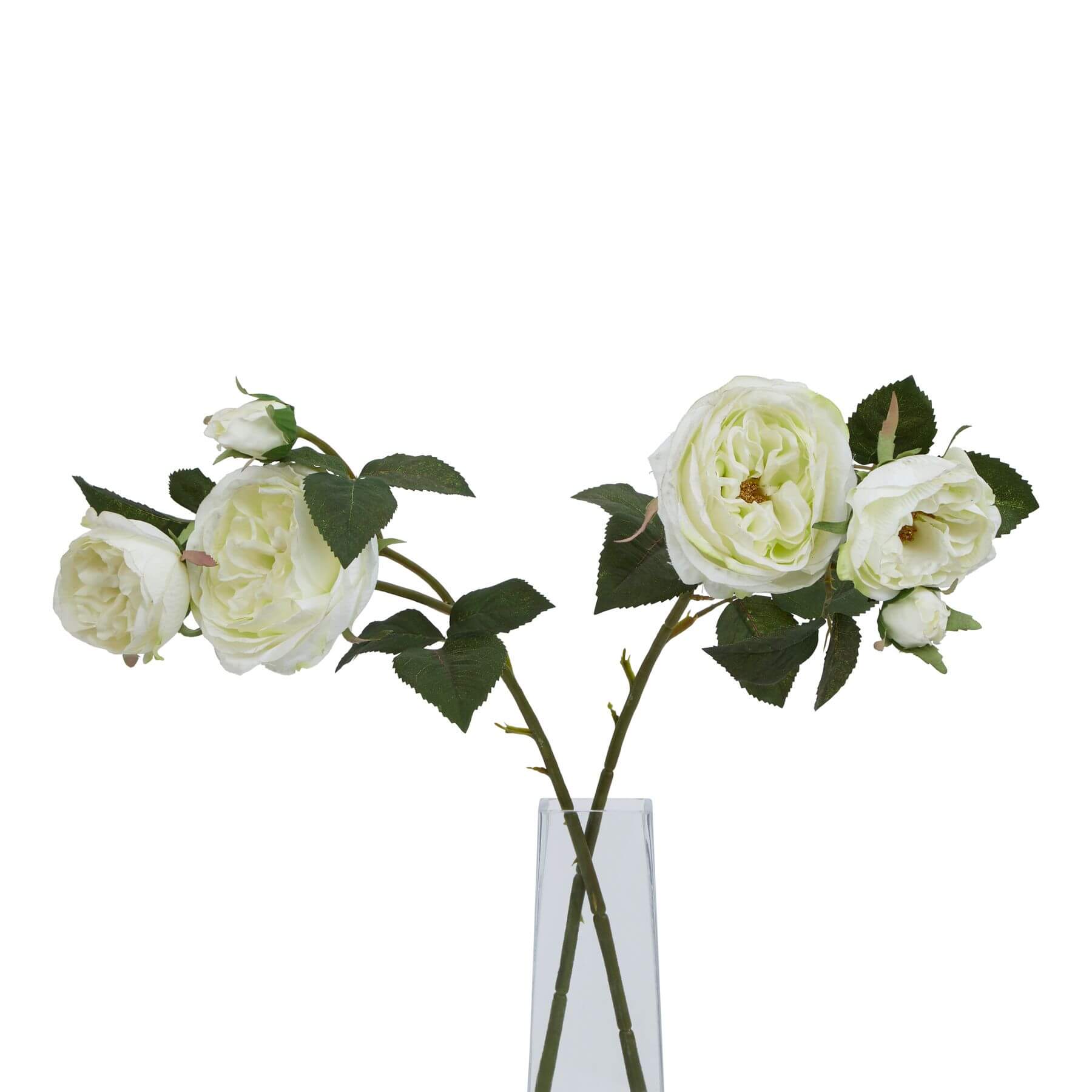 Pure White Rose Botanical Arrangement