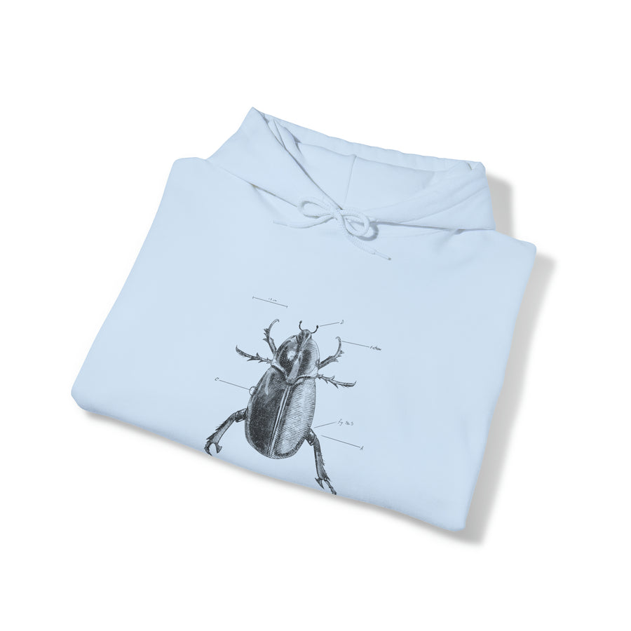 Graphic Insect Print Unisex Hooded Sweatshirt