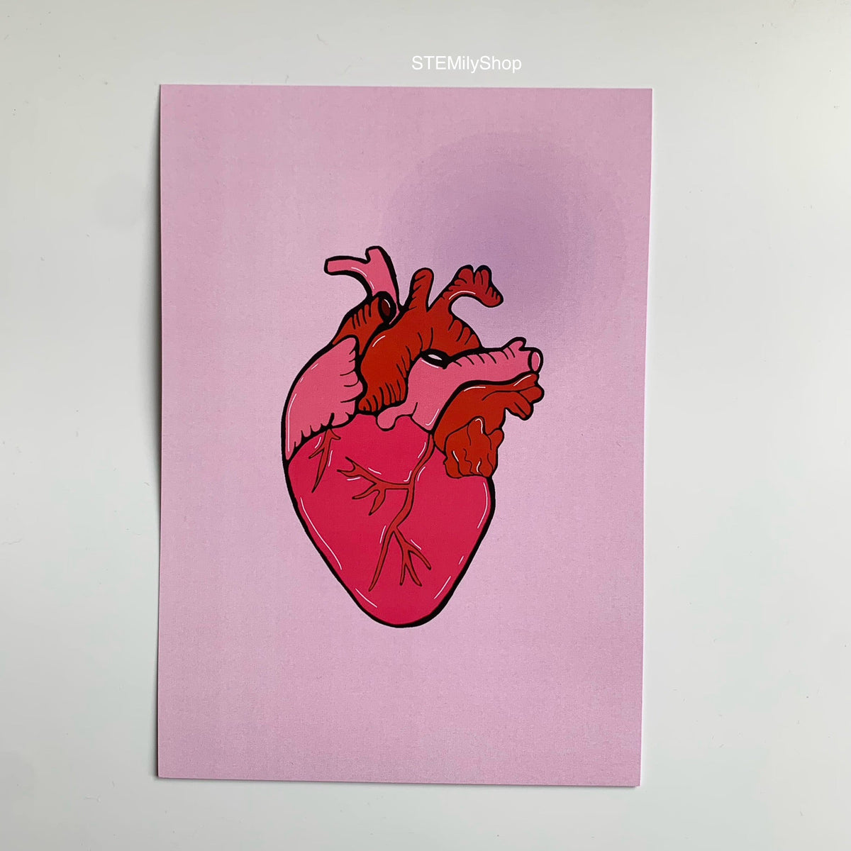 Pink and red anatomical heart hand drawn art print in A5 or A4