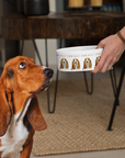 Basset Banquet Bowl – Because Waiting Is Hard