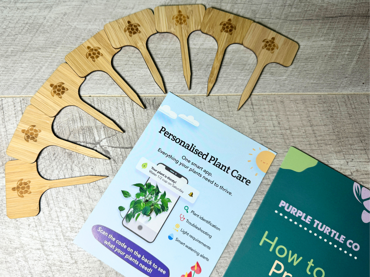 Plant Propagation Gift Set 