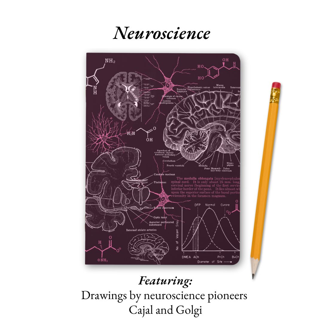 The Living Code: Anatomy, Neuroscience, Evolution &amp; Genetics