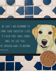 Starving Since Breakfast Pet Bowl Mat – Featuring the Yellow Labrador